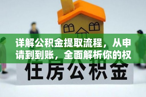岱山详解公积金提取流程，从申请到到账，全面解析你的权益与操作步骤